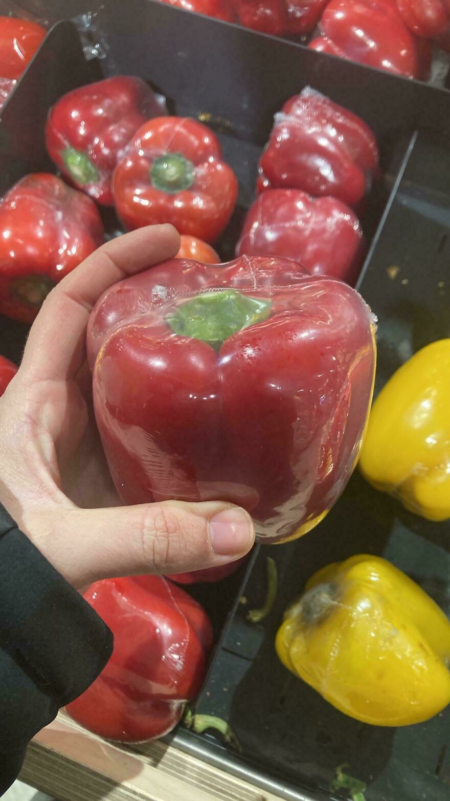 Hand holding plastic-wrapped red pepper in a store, showcasing wasteful unnecessary packaging.