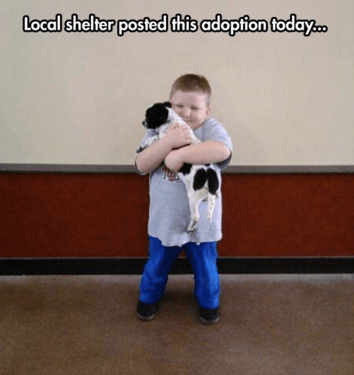 Child hugging a newly adopted puppy, showcasing a joyful adoption moment.