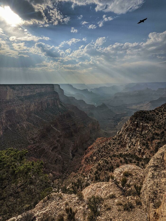 Grand Canyon view with sunbeams filtering through clouds, showcasing incredible world photos, and a bird soaring above.