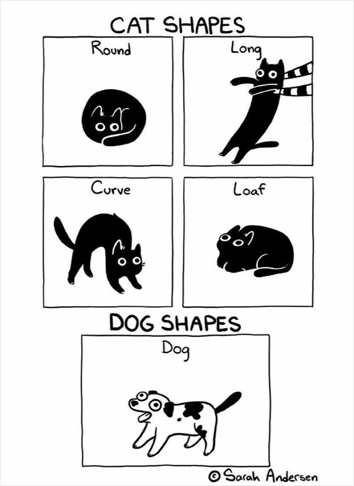 Cartoon illustrating funny differences in cat and dog shapes by Sarah Andersen.