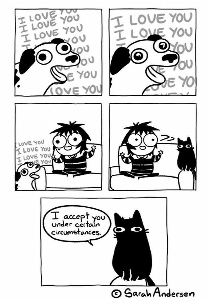 Comic by Sarah Andersen showing a dog expressing love and a cat saying, "I accept you under certain circumstances."