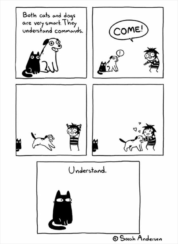 Comic illustration by Sarah Andersen showing funny differences between cats and dogs obeying commands.