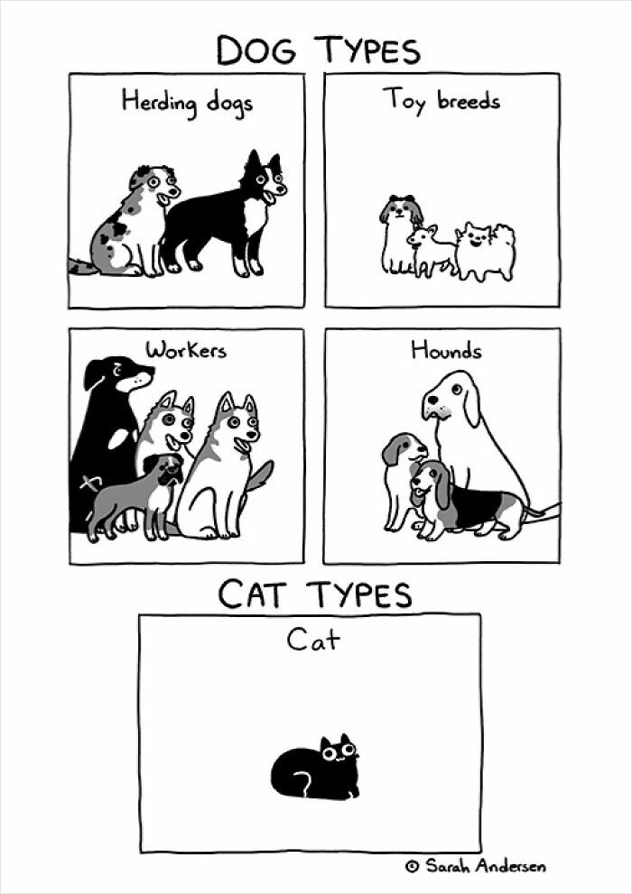 Comics by Sarah Andersen illustrating different dog types and a single cat type for humorous contrast.