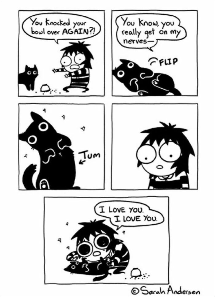 Cat and person in comic by Sarah Andersen, showcasing funny pet antics.