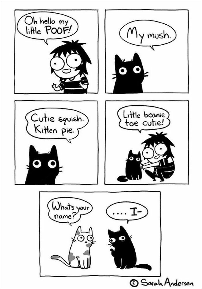 Comic by Sarah Andersen humorously depicting the quirky differences between cats and dogs in black-and-white sketches.