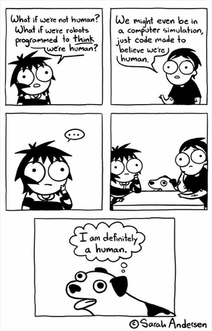 Comic by Sarah Andersen showing animals questioning reality with a dog humorously thinking it's human.