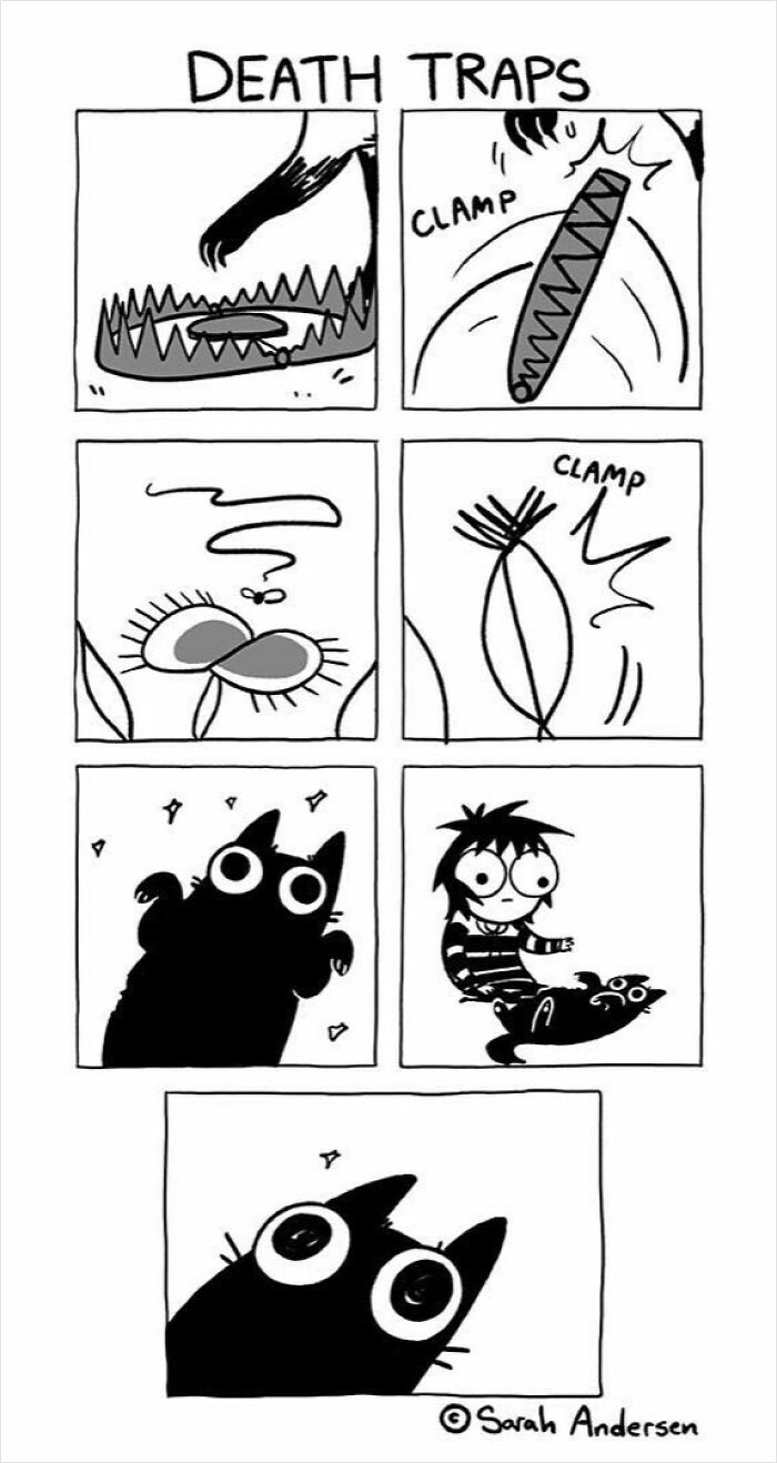 Comic by Sarah Andersen illustrating cat's fear of a mousetrap with a humorous twist, featuring exaggerated cat expressions.