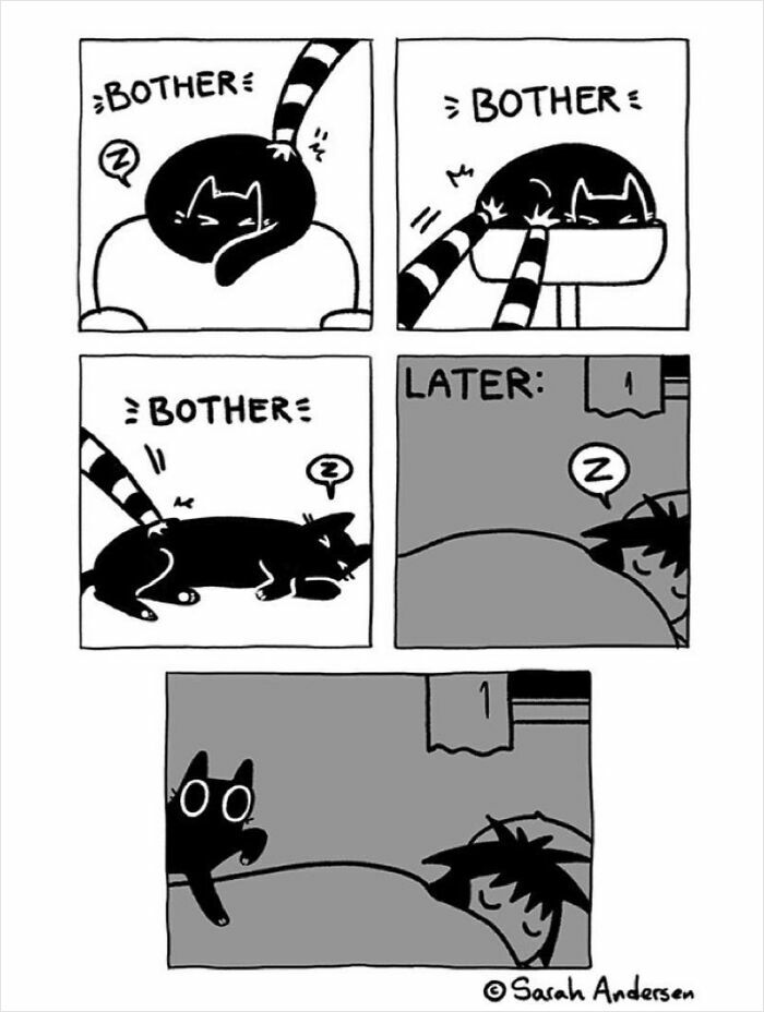 Comic by Sarah Andersen illustrating a cat persistently bothering its owner at night.