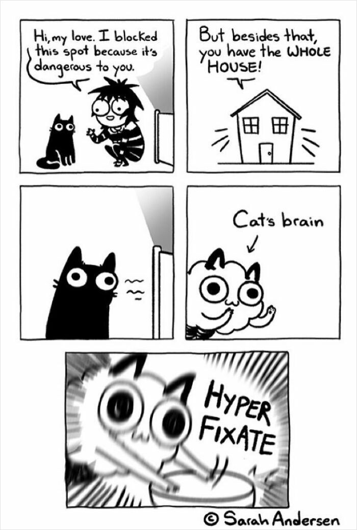 Comic by Sarah Andersen shows a cat fixating on a blocked spot despite having access to the whole house.