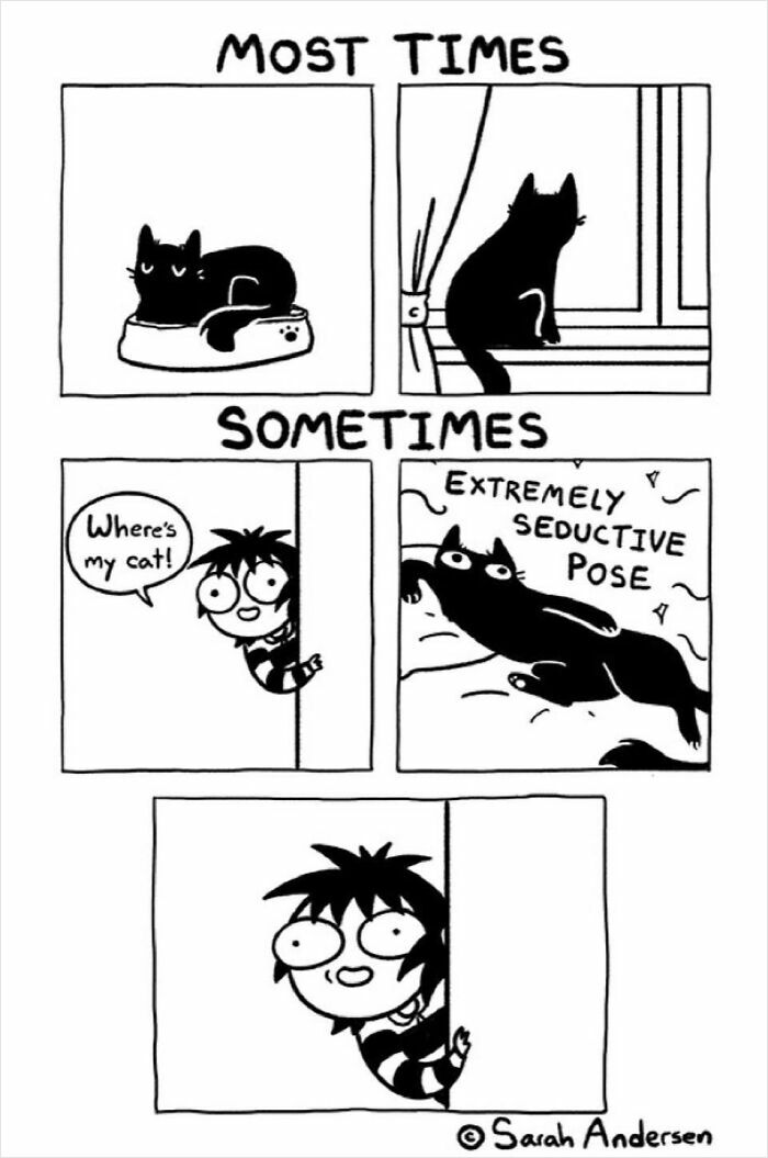 Cats vs. dogs comic by Sarah Andersen illustrating their differences with a humorous cat scenario.