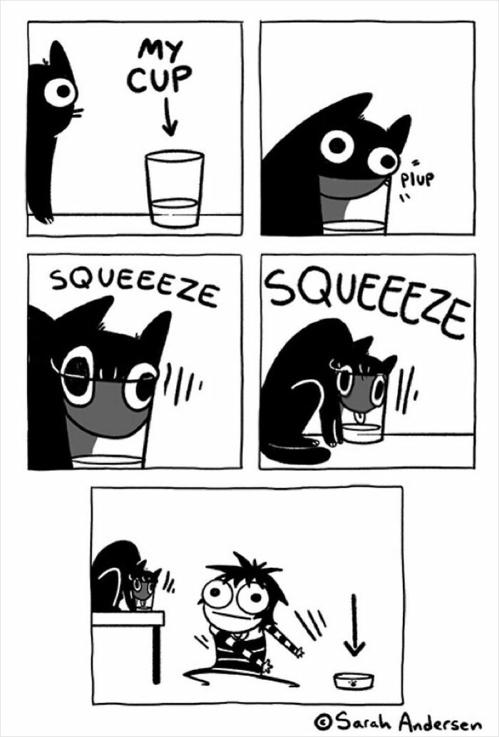 Comic by Sarah Andersen showing a cat squeezing into a cup, exploring cats' quirky behavior.