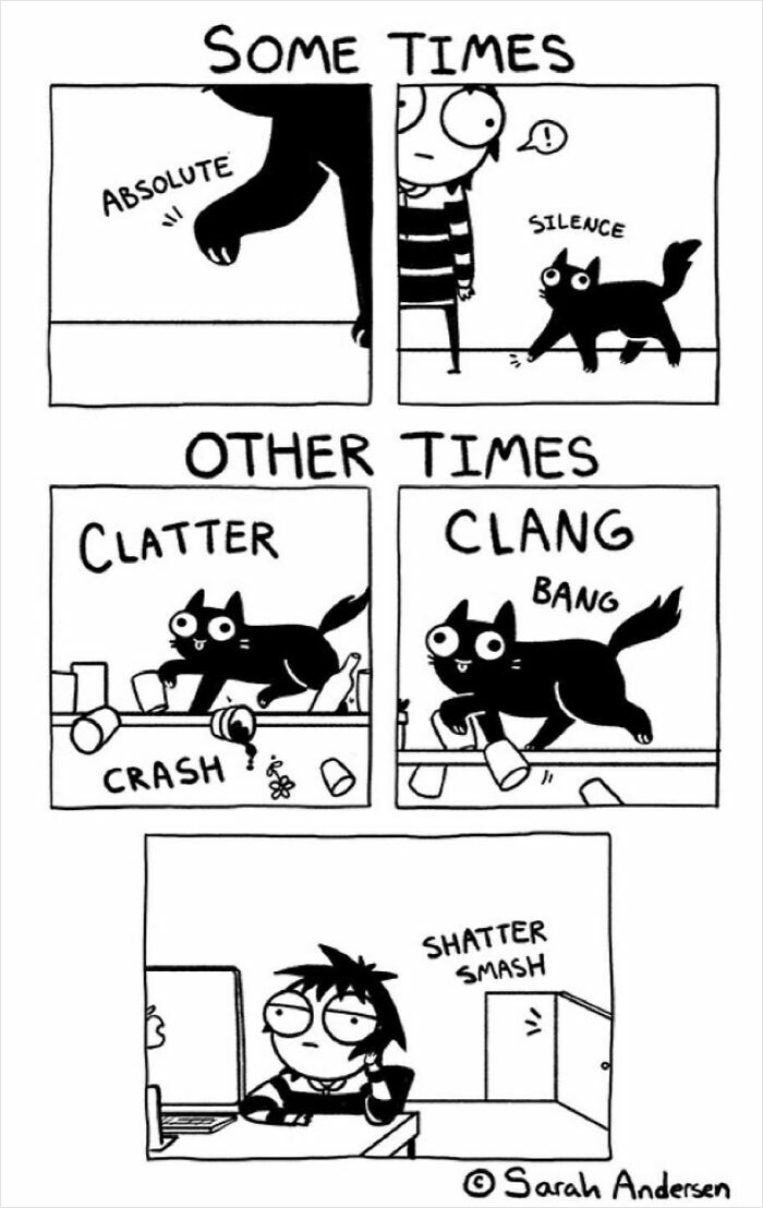 Comic by Sarah Andersen showing the contrast between cats' silence and chaos.