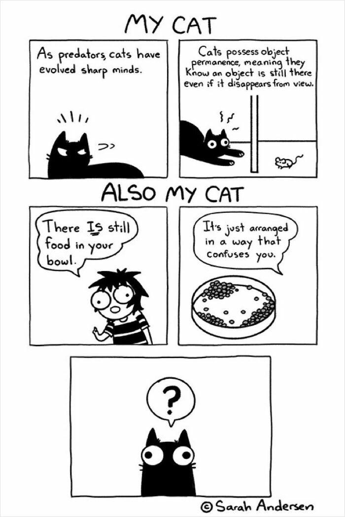 Cats Vs. Dogs comic by Sarah Andersen humorously shows cats’ intelligence versus their confusion over food arrangement.