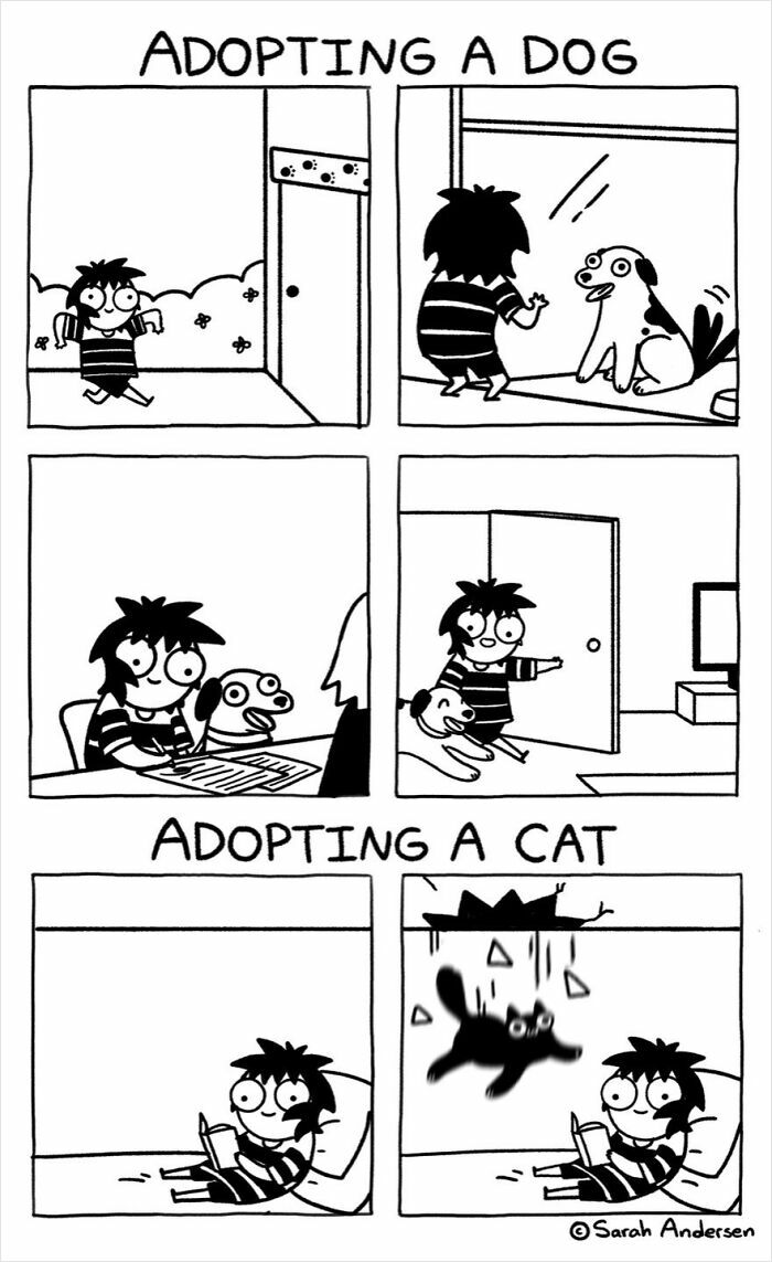 Comical illustration of adopting dogs and cats, highlighting their differences by Sarah Andersen.