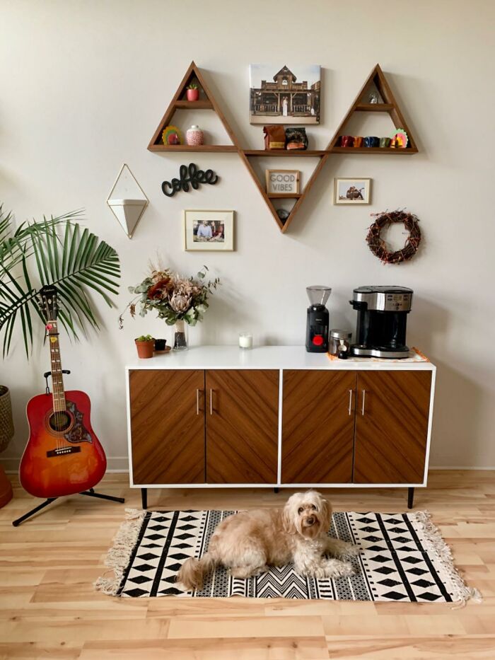 Stylish Amazon furniture setup with cabinet, shelves, guitar, and decor, featuring a dog on a patterned rug.