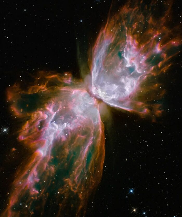 Colorful nebula resembling a butterfly in deep space, showcasing mesmerizing patterns and vibrant colors.