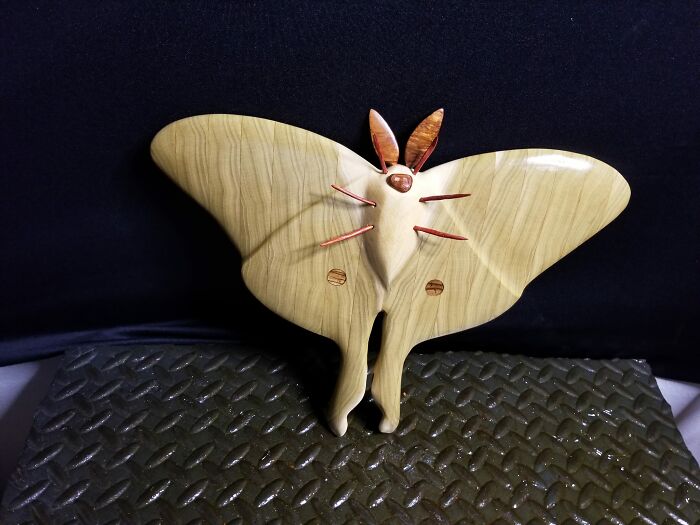 Moon Moth Project