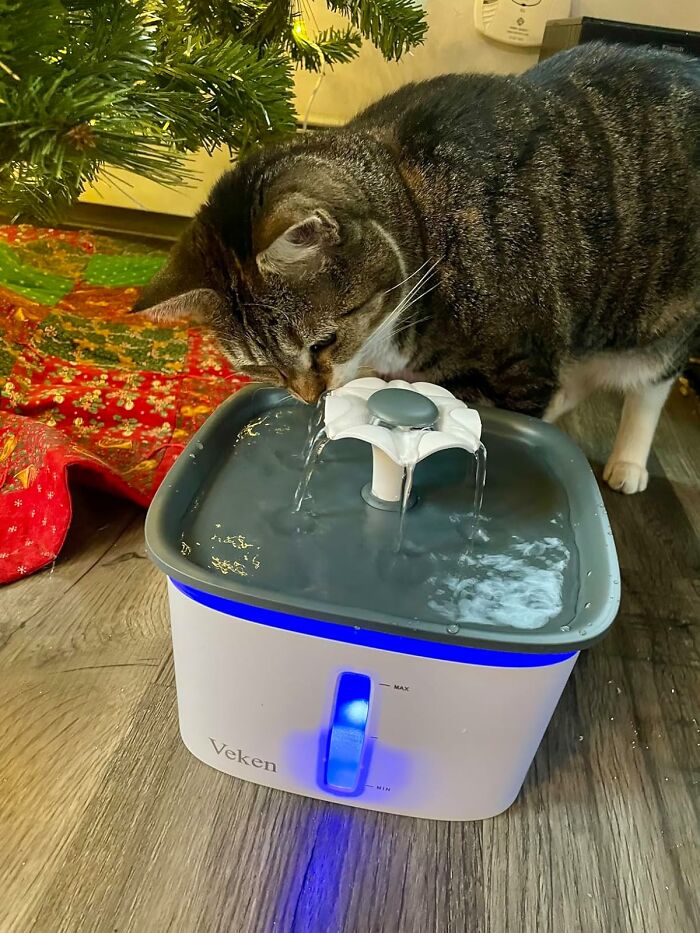 Cat drinking from a pet water fountain under a holiday-decorated tree.