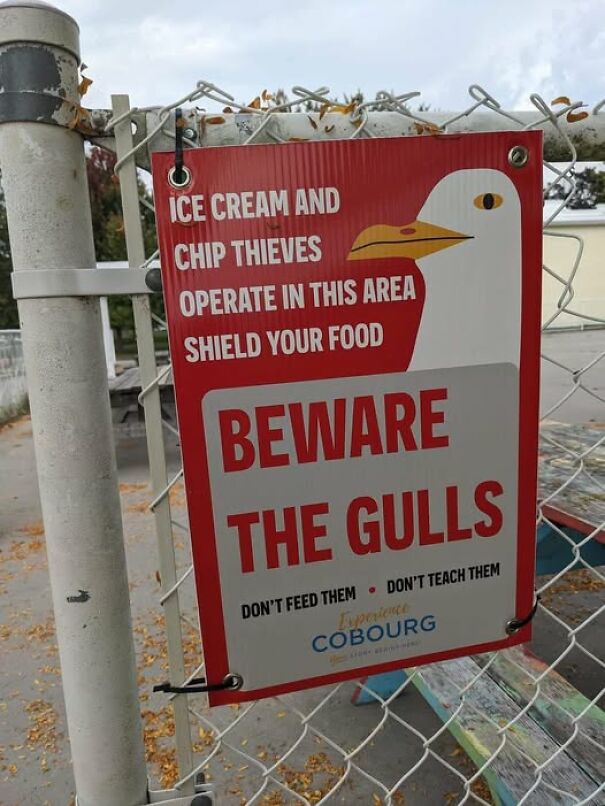 Absurd-Hilarious-Signs