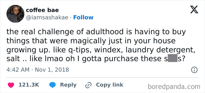 Tweet about the challenges of adulthood, highlighting unexpected expenses for household items.