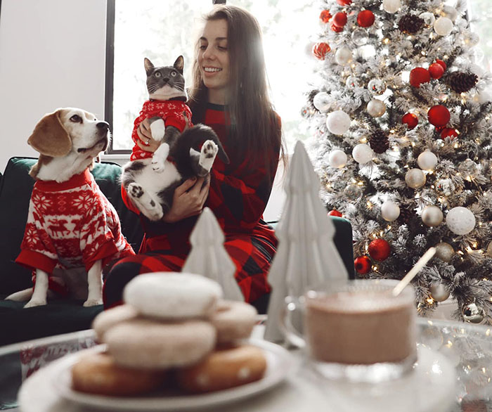 Cat and dog in matching sweaters with owner beside a Christmas tree, showcasing shared traits in festive setting.