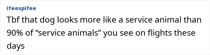 “Dog-Eat-Dog World”: Man Fumes Over Airplane Downgrade From First Class For Service Animal