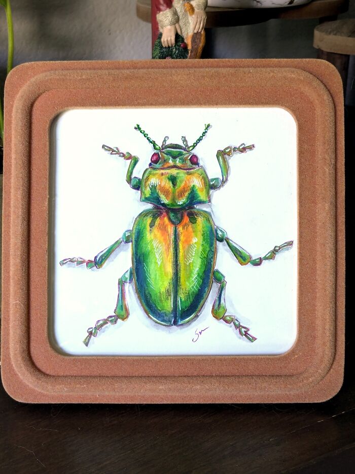 I Painted A Bug!