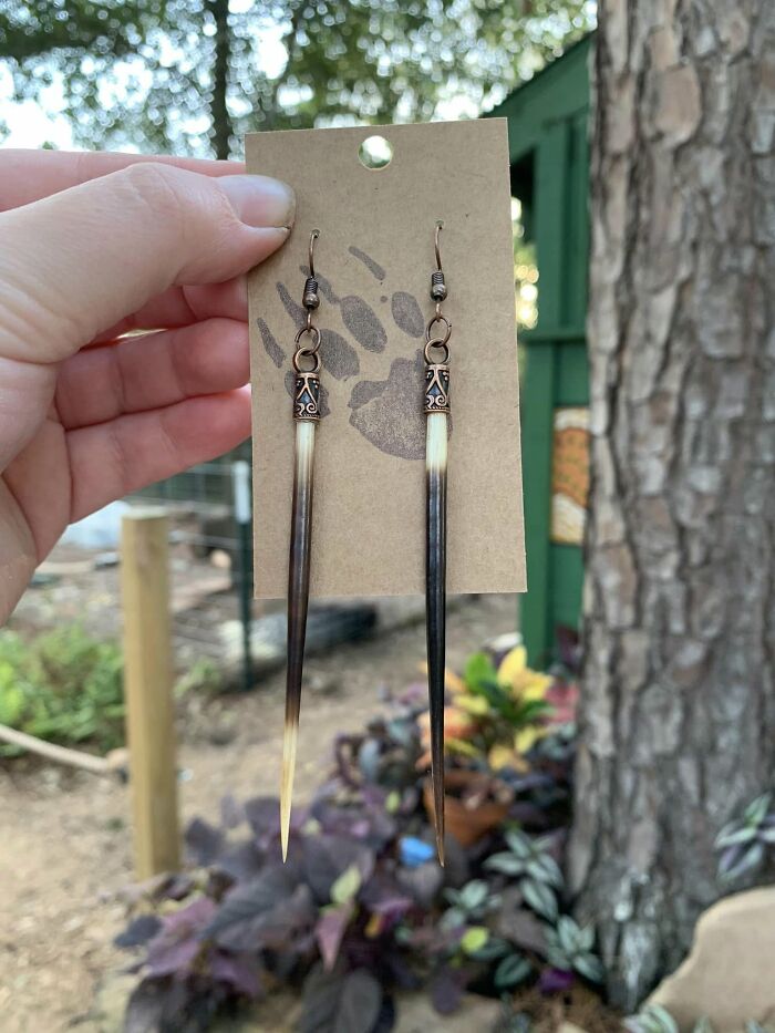 Porcupine Quill Earrings From Houston, Tx