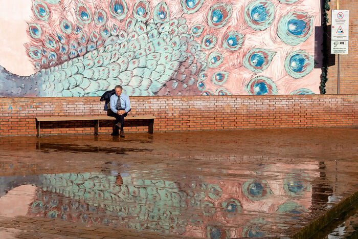 Pensieri From The Series 'The Bench' © Luca Regoli