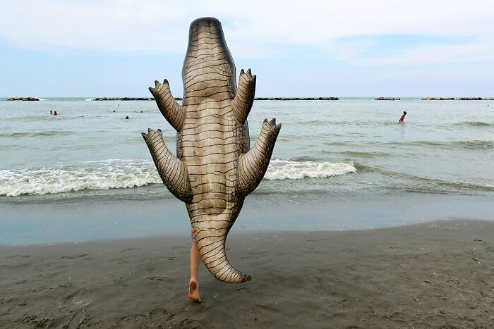 Crocodile From The Series 'Beautiful Summer' © Alessandro Deluigi