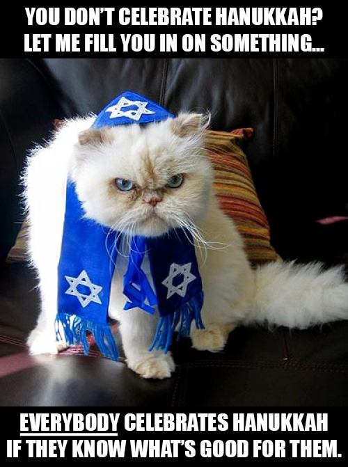 Angry-Hanukkah-Cat-6769c0a281ddf.jpg