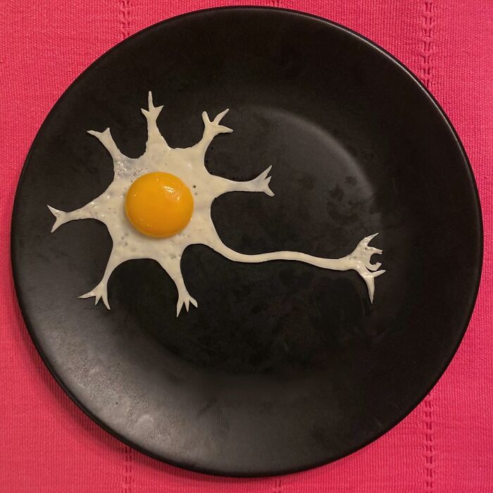 Creative egg art on a black plate, resembling a neuron with yolk as the cell body, showcasing artistic egg frying skills.