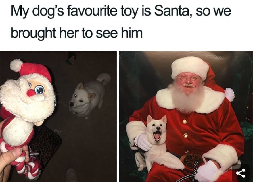 Dog meets Santa, posing happily with a Santa toy, creating a funny-hilarious Christmas meme moment.