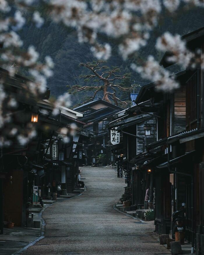 Street view resembling a videogame scene with traditional wooden buildings and blurred blossoms in the foreground.