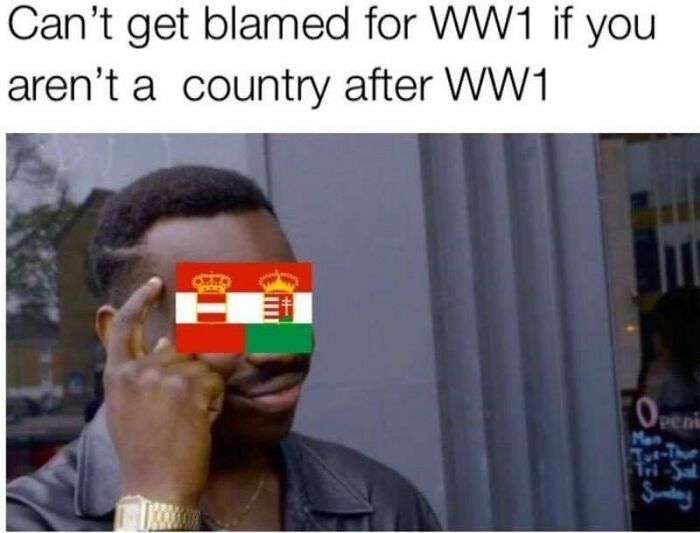 A meme humorously comments on historical events using a clever observation about World War 1.