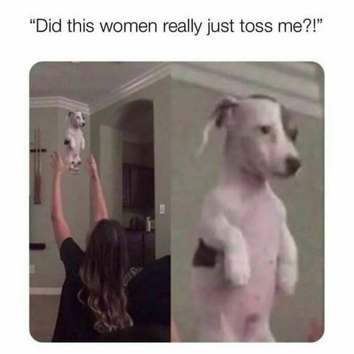 Funny dog meme with a woman holding her pet in the air, capturing a surprised expression.