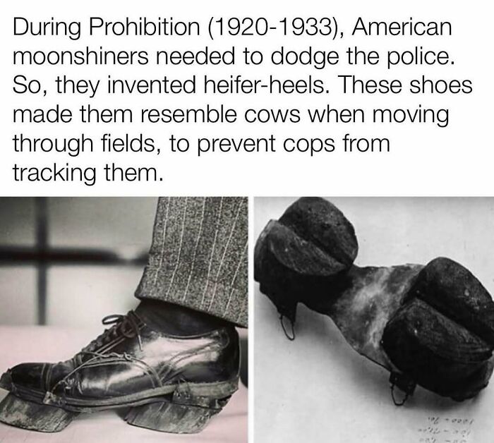 Heifer-heels worn during Prohibition to mimic cow tracks, helping moonshiners evade police. Interesting history pic.