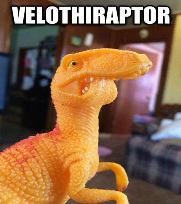 Funny-Dinosaur-Memes-Ralph-The-Rex