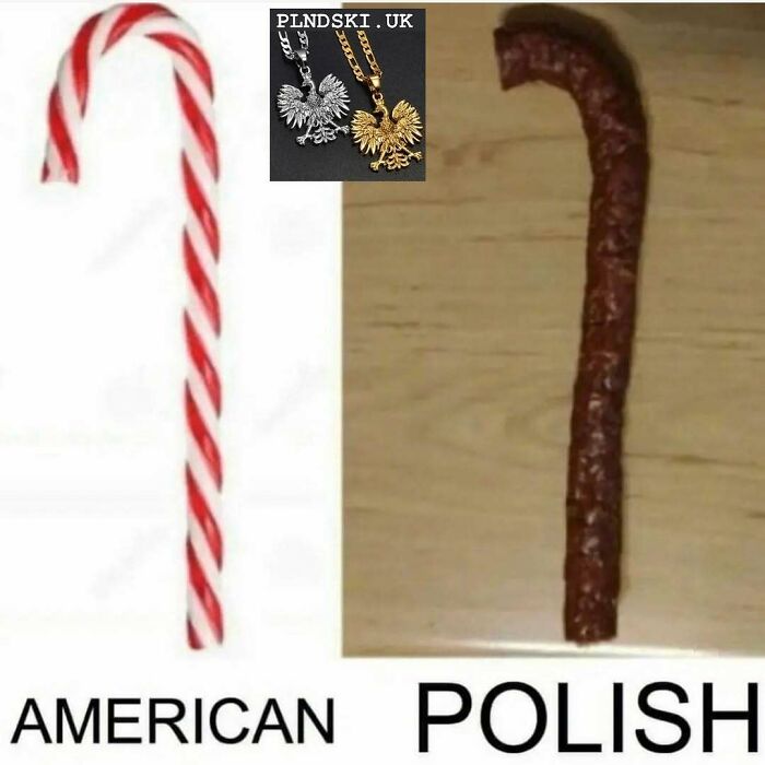 Funny-Polish-Memes