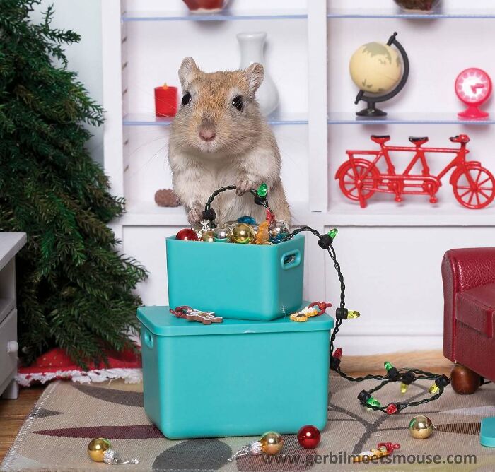 Cute gerbil with Christmas decorations in a festive room with a miniature tree and toys.