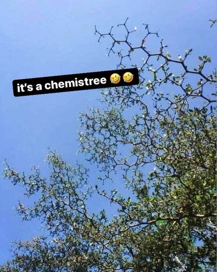 Tree branches resemble a chemical structure, captioned with "it's a chemistree" for science memes humor.