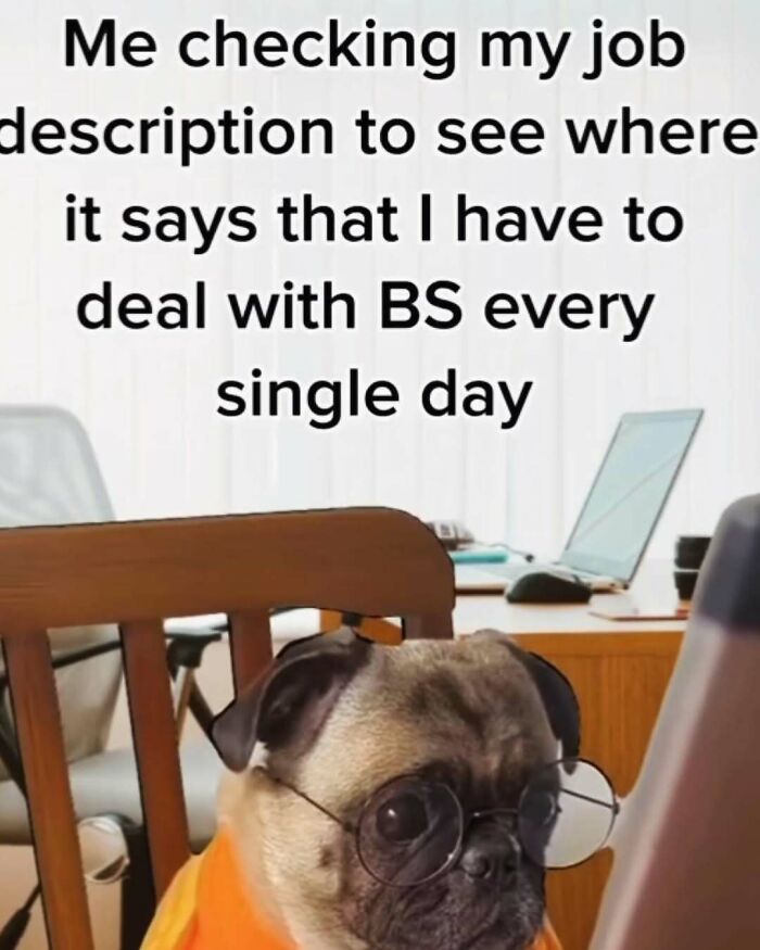 Pug wearing glasses sitting at a desk with a computer, illustrating a humorous work meme.