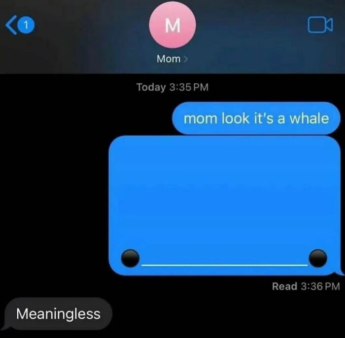 Text exchange depicting a humorous and relatable mental health meme with a whale graphic.