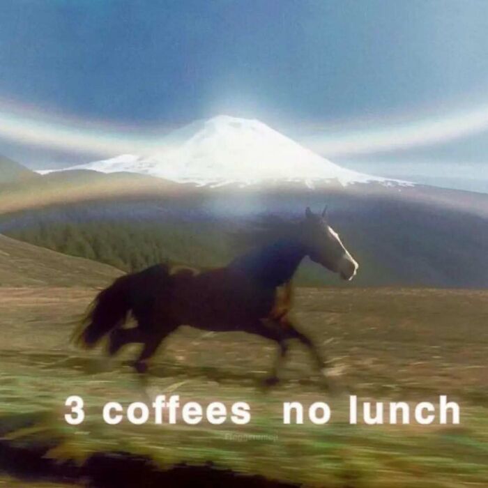 Horse running with "3 coffees no lunch" text, capturing relatable mental health meme humor.