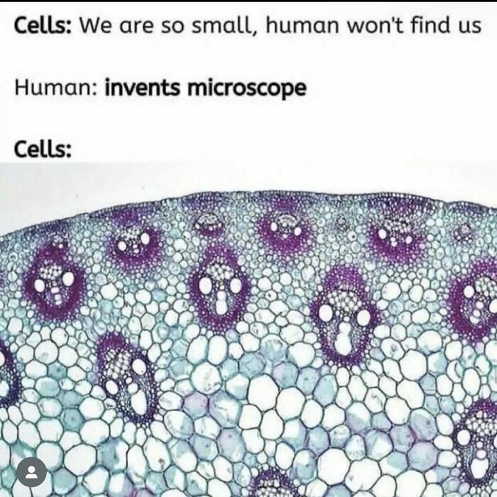 Science memes image showing a humorous exchange about humans inventing microscopes to see cells.