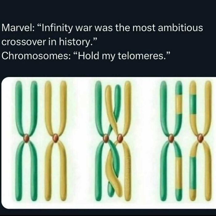 Science memes compare Marvel's crossover with chromosome telomeres in a humorous image.