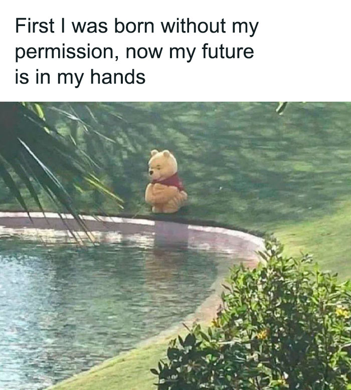 Relatable mental health meme featuring a pensive bear sitting by a pond, reflecting on life and the future.