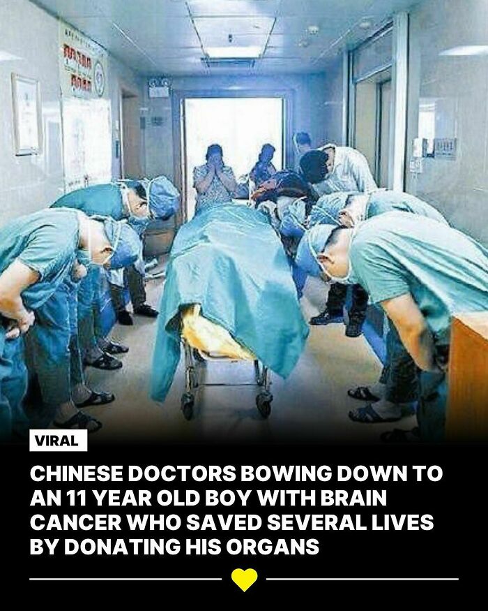 Doctors bow in respect to a young organ donor, highlighting an act of wholesome kindness.