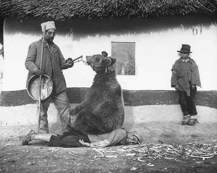 A vintage scene with a bear and a man, showcasing historical moments to learn from.