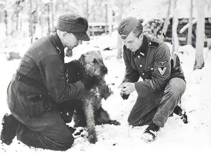 Two soldiers in uniform crouching in the snow tending to a dog. Historical photo representing learning from the past.